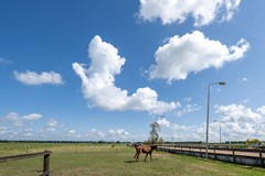 Zuiderweg 11, 1464 GA Westbeemster - Zuiderweg 11 Westbeemster De Groot  -28.JPG